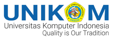 Indonesian Computer University Indonesia