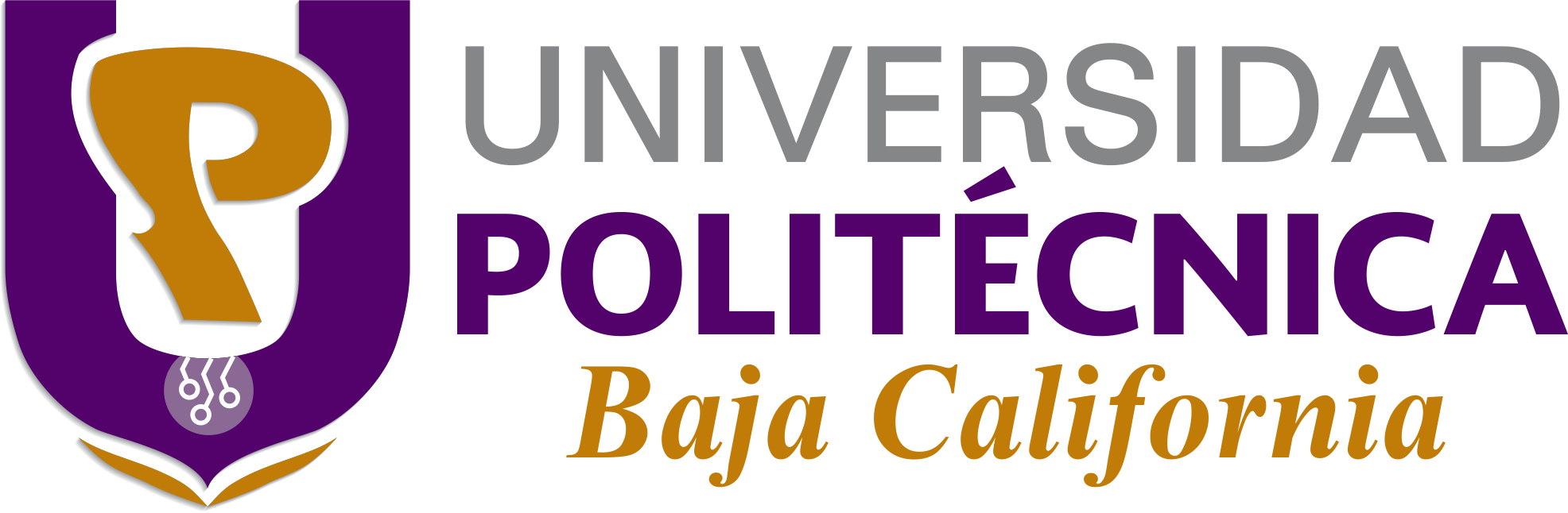 Polytechnic University of Baja California Mexico