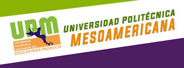 Mesoamerican Polytechnic University Mexico