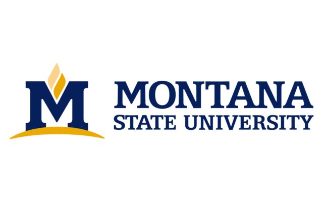 Montana State University USA