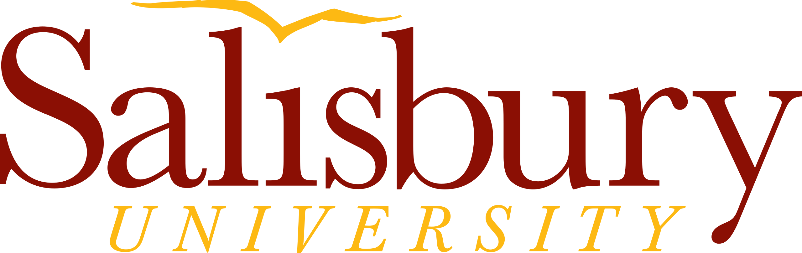 Salisbury University USA