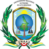National Autonomous University of Alto Amazonas Peru